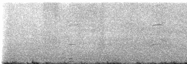 שחפית שחורת-עורף - ML442562531