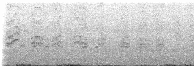 Black-naped Tern - ML442562541