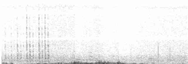 Cisne Trompetero - ML44261151