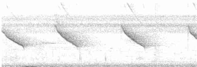 White-throated Shrike-Tanager - ML442709861