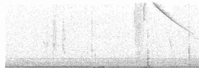 Каллиопа-звёздочка - ML442711081