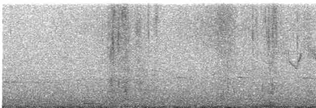 Cerulean Warbler - ML442737151