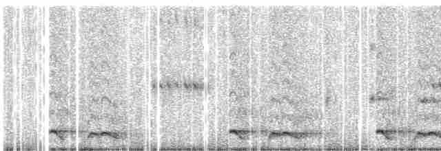 Tawny-collared Nightjar - ML442782291