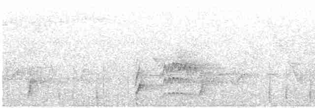 Дрізд-короткодзьоб Cвенсона - ML442822791
