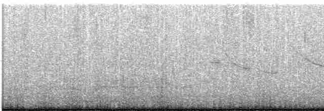 Eastern Meadowlark (Eastern) - ML442868481