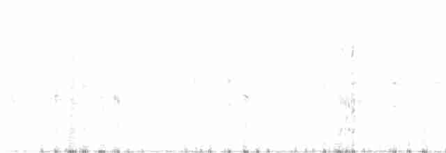 White-banded Mockingbird - ML442914441