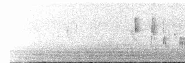 Black-browed Reed Warbler - ML442927771