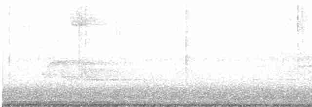 Kentucky Warbler - ML443031161