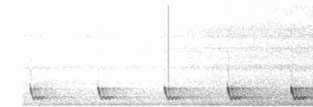 Large-tailed Nightjar - ML443040291