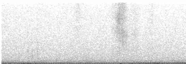 Cerulean Warbler - ML443041271