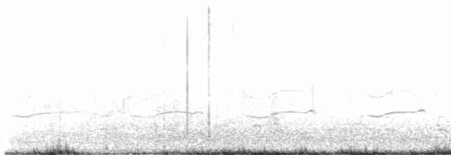 Black-tailed Godwit - ML443071881