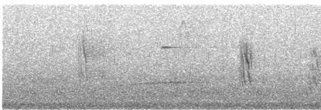 Boz Karınlı Kırlangıç - ML443089771