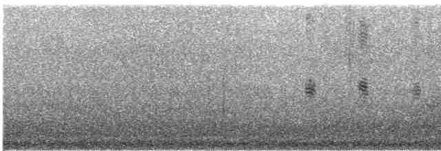 Mirlo Acuático Coroniblanco - ML443108571