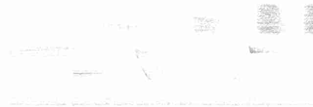 Алленов колибри - ML443115041