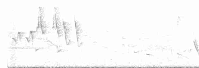 Palm Warbler (Western) - ML443121261