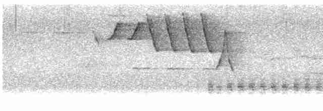 Yellow Warbler - ML443267911