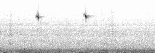 kolibřík blankytohrdlý - ML44328
