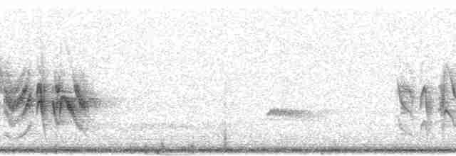 Віреон короткокрилий (підвид arizonae) - ML44329
