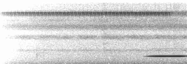 Gray-legged Tinamou - ML44347321