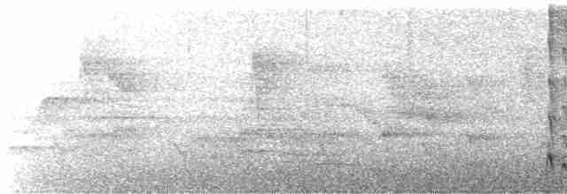 Буроголовый ореджеро - ML443502711