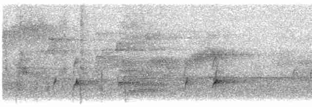 Дрізд-короткодзьоб Cвенсона - ML443551391