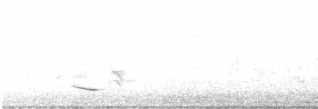 Трупіал плямистоволий - ML443563601