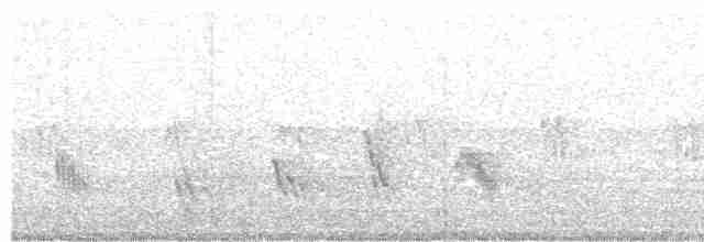 Büyük Mor Kırlangıç - ML443585541