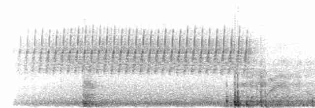 Cırcır Sesli Serçe - ML44360