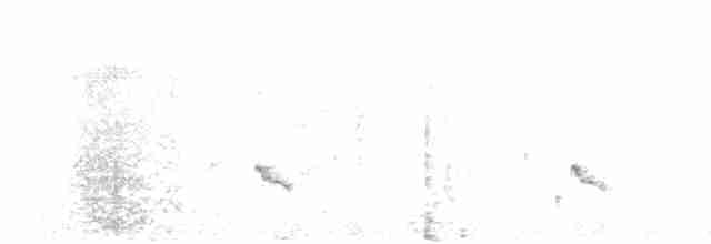 Желтоногий улит - ML443608201