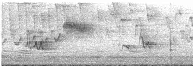 Cerulean Warbler - ML443612871