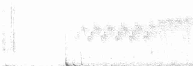 Cerulean Warbler - ML443662531