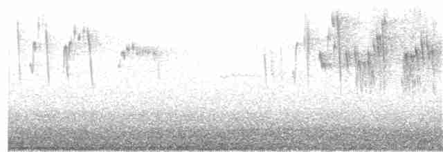 ノドジロハリオアマツバメ - ML44372341