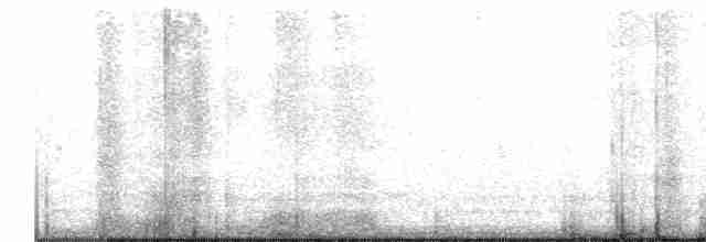 Короткоклювый бекасовидный веретенник - ML443736691
