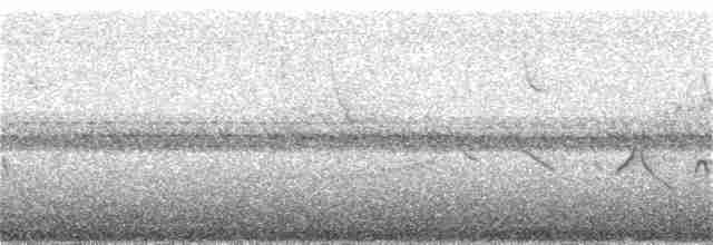 Kestane Karınlı Koca Tohumcul - ML44392371
