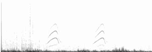 Uzun Kuyruklu Korsanmartı - ML444116531