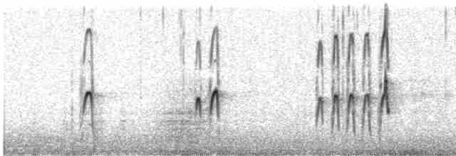Американский бекасовидный веретенник - ML444156011