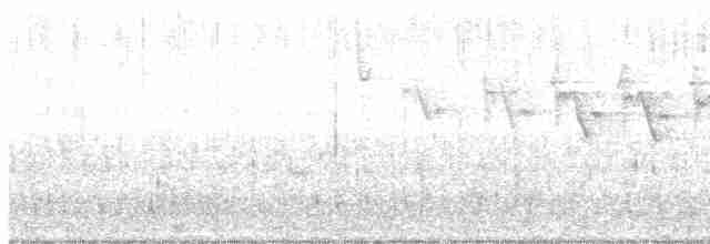 Yellow-throated Warbler - ML444181751