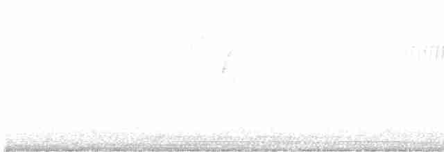 Paruline vermivore - ML444393351