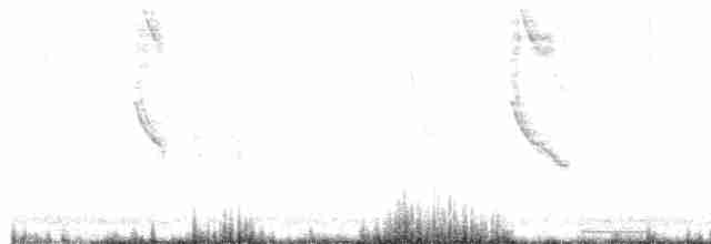 Lesser Goldfinch - ML444702561