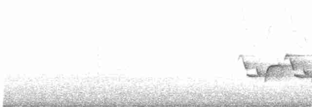Karolina Çıtkuşu - ML444750781