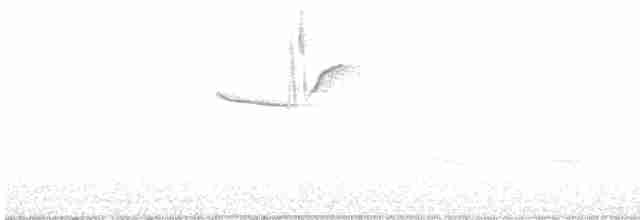 Boz Başlı İnekkuşu - ML444763531