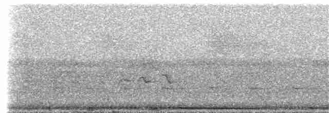 holub hnědohlavý - ML44478731