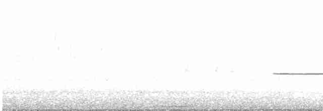Малая воробьиная овсянка - ML444804441