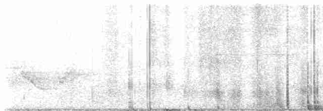 lesňáček černohlavý - ML444808551