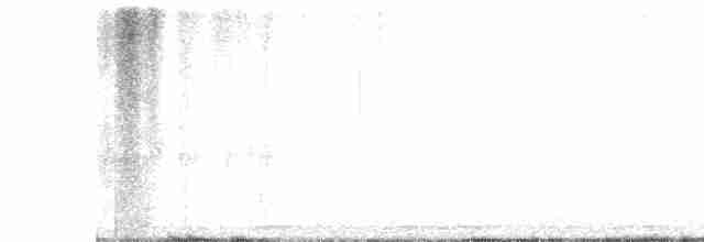 Chouette rayée - ML444835631