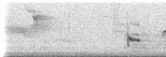 Hermit Thrush (faxoni/crymophilus) - ML444870691