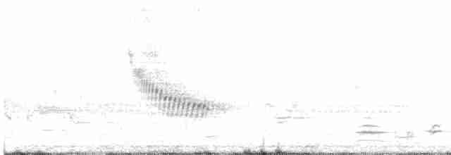 vlhovec červenokřídlý - ML444903451