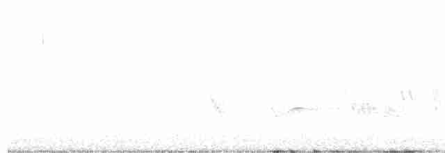 Kara Kanatlı Piranga - ML444937541