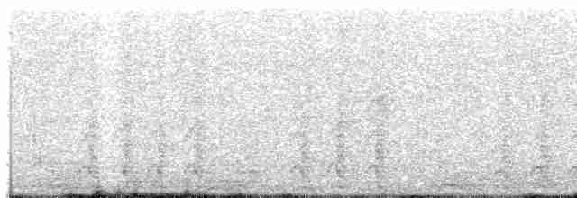 Арауканская чачалака - ML444940621