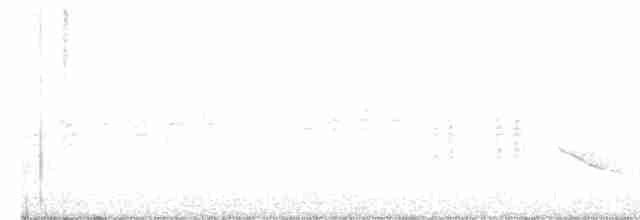 Буроголовый поползень - ML445002231